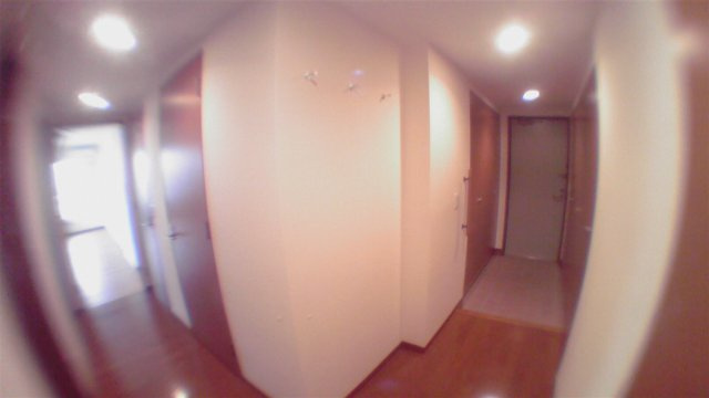 江東区豊洲５丁目の賃貸マンションの玄関