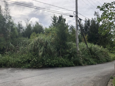 【外観】 | 恩納村希望ヶ丘内売土地30坪