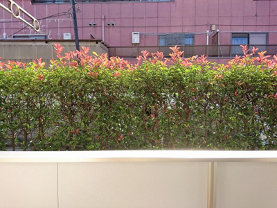 【展望】 | セキュリティーMax | 1Fからの景色は・・・。