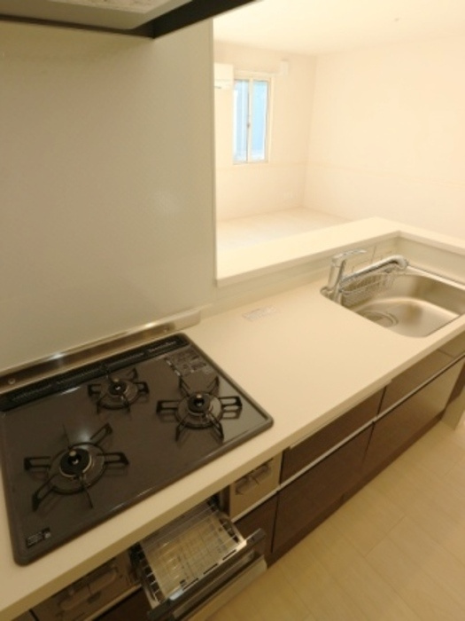 BLESSHOUSE柏西町Bのキッチン