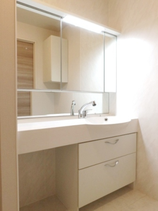 BLESSHOUSE柏西町Bの独立洗面台