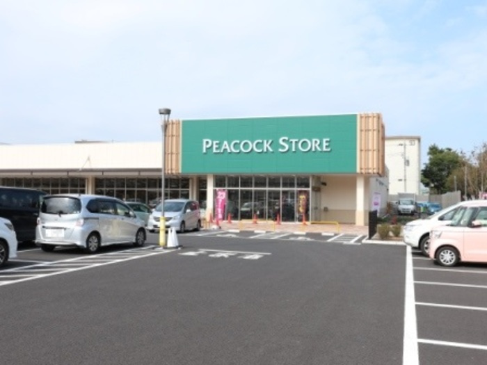 BLESSHOUSE柏西町Dの周辺