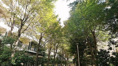【外観】 | パークシティ溝の口Ｃ棟 | 東急田園都市線・東急大井町線「溝口」駅徒歩8分の好立地！JR南武線「武蔵溝ノ口」駅徒歩8分の3路線2駅利用可能！