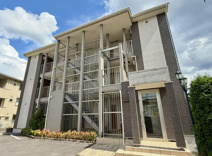 ミルト・ソレイユの画像