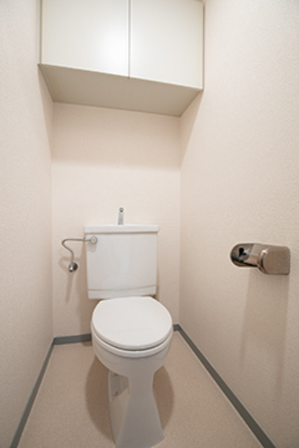 真成館ビルのトイレ|※写真は同タイプの別室になります