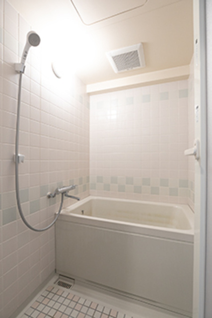 真成館ビルの浴室|※写真は同タイプの別室になります