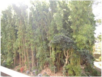 【展望】 | メゾン・リヴェールII