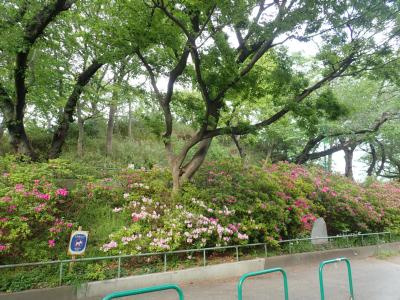 加賀公園まで691m