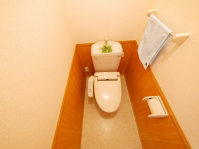 リビングタウン四条大路　Ｂ棟のトイレ|トイレも気になるポイント