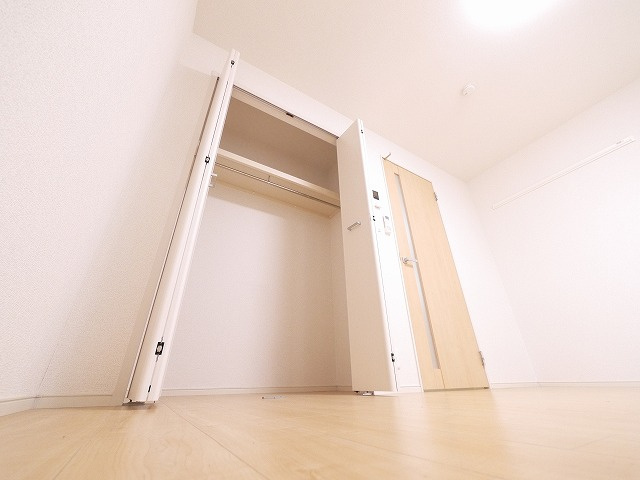 フェンネルの収納