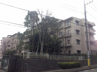 【外観】 | フォレストヒルズ三保5号棟 | JR横浜線・横浜市営地下鉄グリーンライン「中山」駅バス6分「三保中央」停徒歩1分の2路線利用可能！