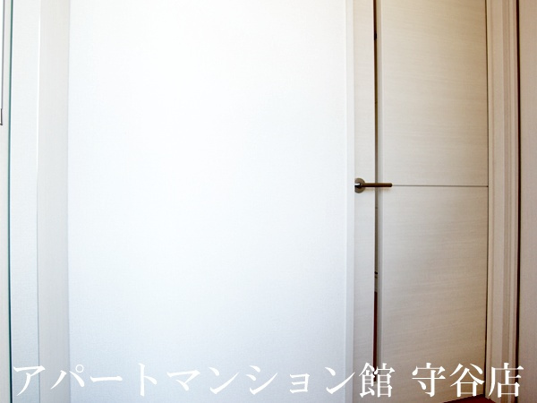レセンテ紫峰ヶ丘Cの玄関|反転です