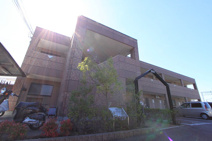 ルミナスコートの画像