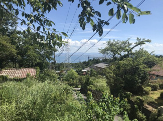 【展望】