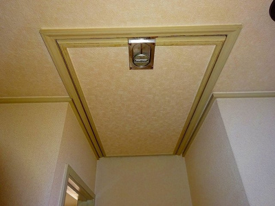 【その他共用部分】 | 夏見２丁目戸建貸家 | 屋根裏