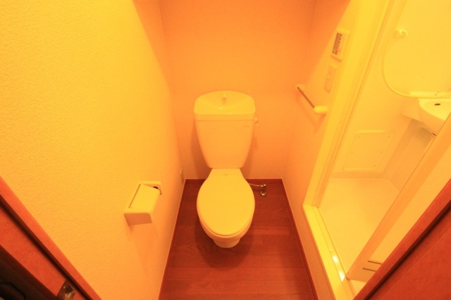 レオパレスドリーム田中21のトイレ