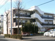 サクラグラースの画像