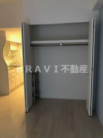 セレニテ心斎橋グランデ　BRAVI不動産の収納|【セレニテ心斎橋グランデ】大きなものも収納できそうです