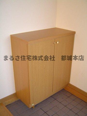 S・Tハイツ Ⅱの内装|収納もある玄関です