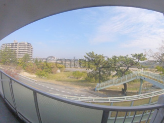 【展望】