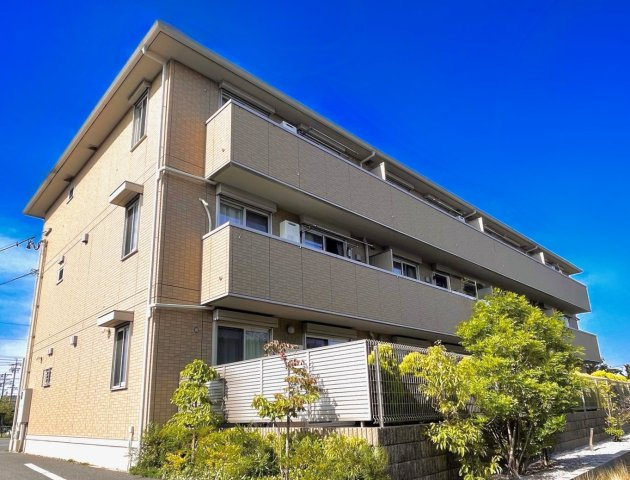 ロイヤル花水木