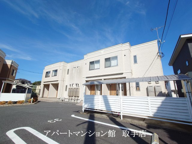 Green CalmⅤ