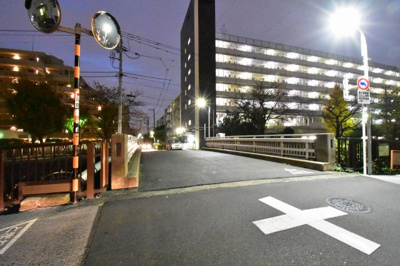 【周辺】 | プラティーノ池上 | 前面道路