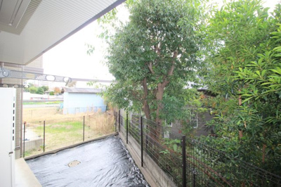 【展望】 | ベテル