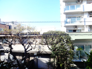【展望】 | ハイツ根岸　窓からの眺望
