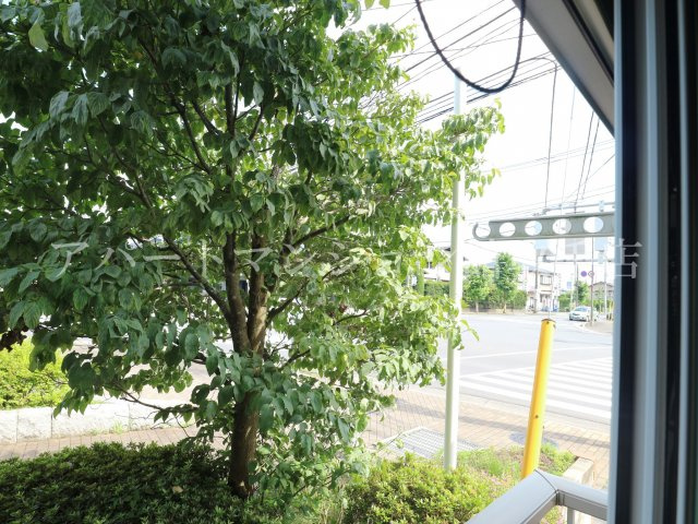 ロイヤルパーク・ハクサンの展望