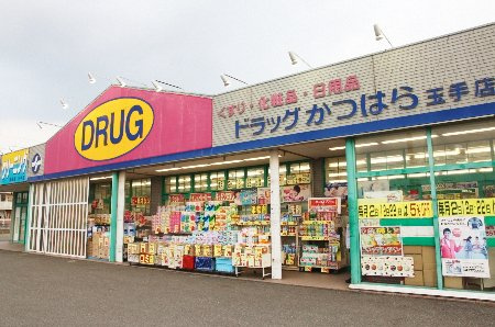 セジュール砥堀の周辺
