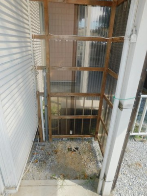 【その他】 | ミューかいぞう