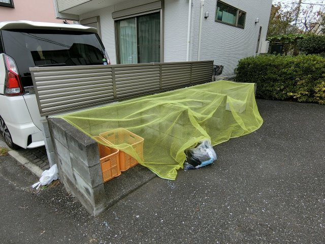 カターラローズの周辺
