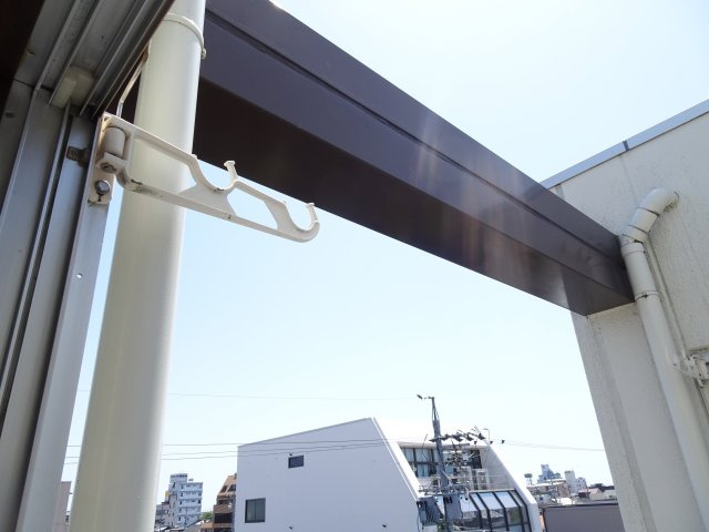 ピーコックビルのその他