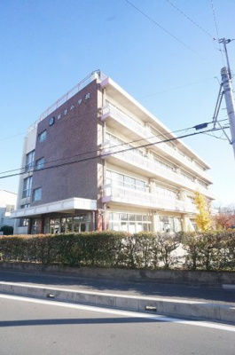 【周辺】 | ベルクフェルト | 新曽小学校