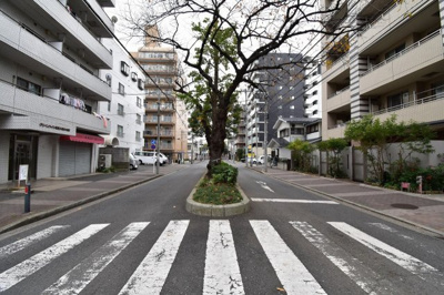 【周辺】 | 横浜大通り公園ハイツ | 前面道路