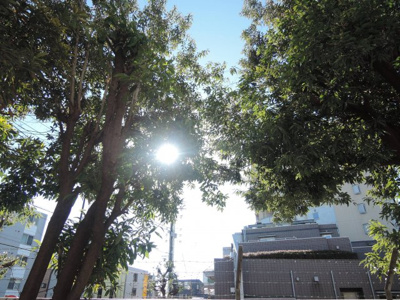 【展望】 | ﾗ･ﾚｼﾞﾀﾞﾝｽ･ﾄﾞ･ｴｽﾊﾟﾘｴ