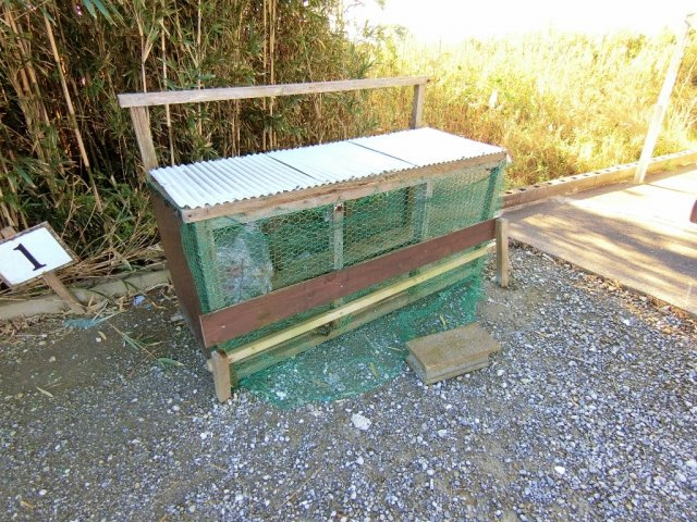 スターハイツ岬のその他共用部分