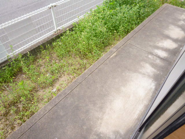 シャトルミヤケＣの庭