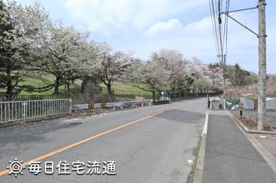 【周辺】 | トミーズ