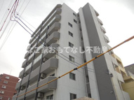 axis meiseiの画像