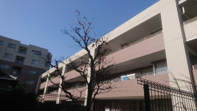 キャッスルハイツ小牧イーストハイツの外観