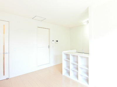 【居間・リビング】 | カーサヴィエントⅠ | 南東向きリビングダイニングキッチン10帖☆女性に人気なカウンターキッチンです！カウンター部分には小物を置ける棚がついています！インテリアを飾って楽しむことも♪