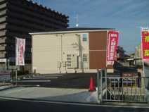 マロンツリーの画像