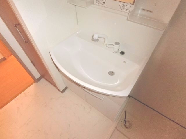 ラ・メゾンMSIIIの洗面所