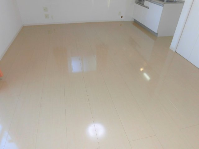 レセンテ花水木Aの洋室