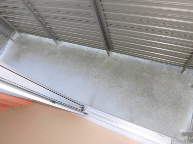 レセンテ花水木Aの庭