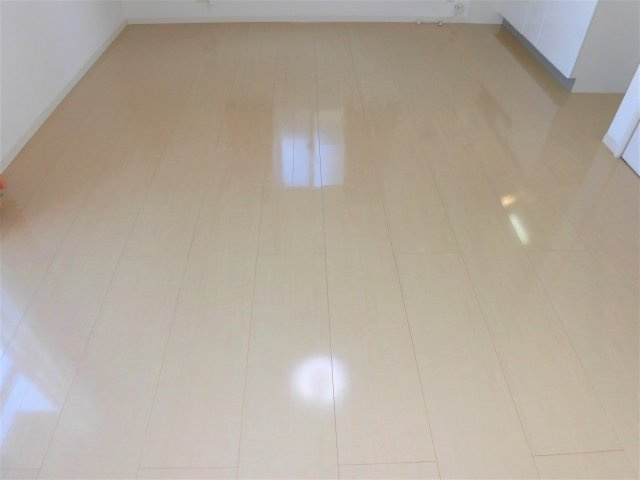 レセンテ花水木Aの洋室