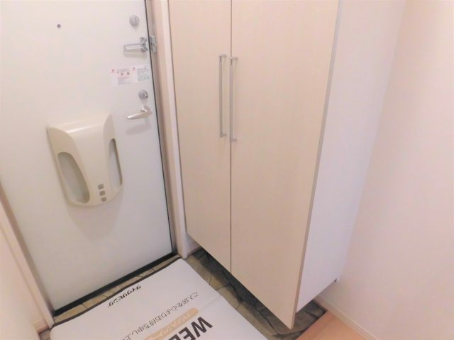 レセンテ花水木Aの玄関