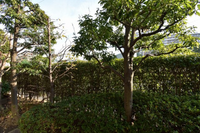 【展望】 | エステ・スクエア川崎京町